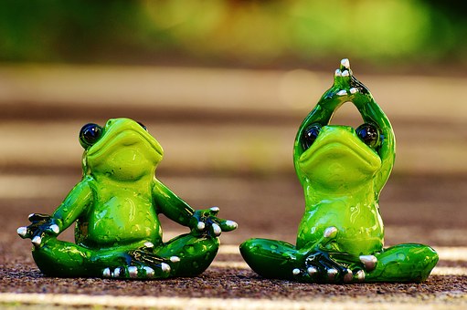 frogs-1030278__340