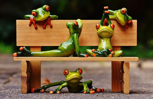 frogs-1644949__340